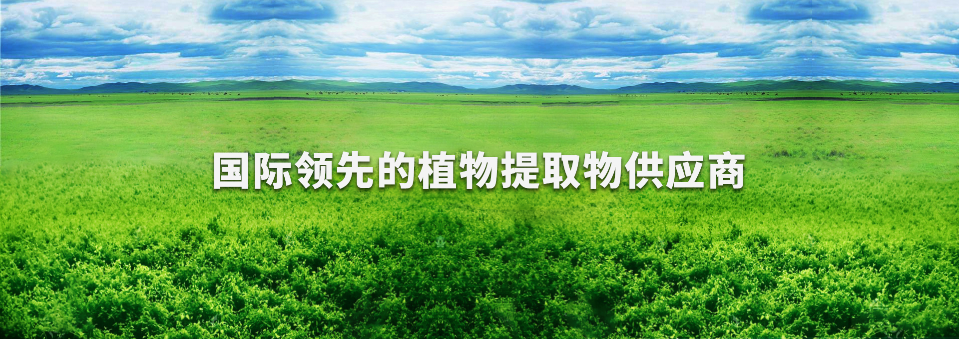 首页| beat365中国区唯一官网