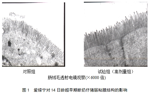 61de4e27597a3.jpg